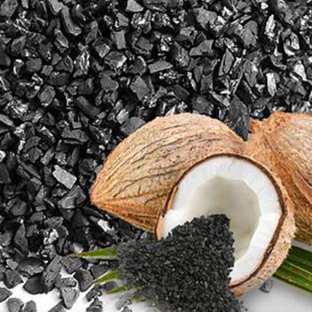 Coconut-Shell-Charcoal-2.jpg